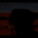 Dog Dog Staring At Sun emoji