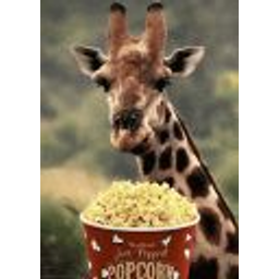 Giraffes Thinking Animals emoji