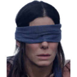 Birdbox Blind emoji