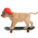 Jake From Skate Farm emoji