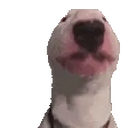 Walterjam emoji