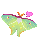 Lunamothh emoji