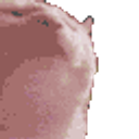 Catjam Rainbow emoji