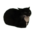 Rupert emoji