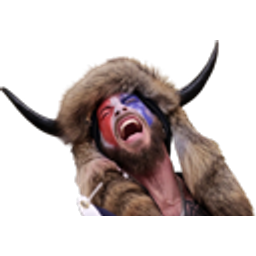 Loltrumpsupporter emoji