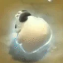 Porreo emoji