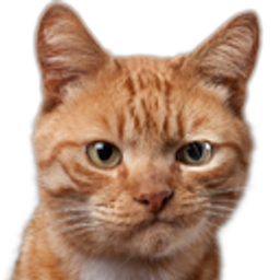 Cat Smirk emoji