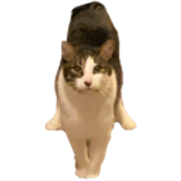 Cat Tr Stance emoji