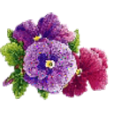 Pansies emoji