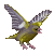 Greenfinch emoji
