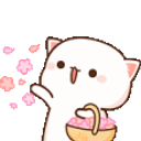 Cat Throw Flower emoji