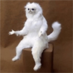 Wtf Cat emoji