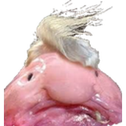Blobbeauty emoji