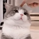 Iidiot emoji