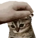 Petthesadcat emoji