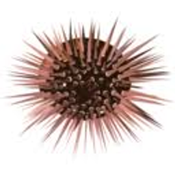 Sea Urchin Larvae emoji