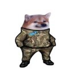 Nafo emoji