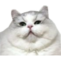 Chunkcat21 emoji