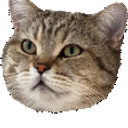 Simba Cat Jam emoji