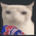 Verycat Cateat emoji