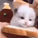 Thecatthatlicksthebread emoji