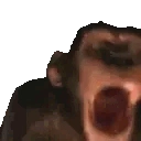 Monke emoji