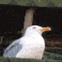 Demon Gull Scream emoji