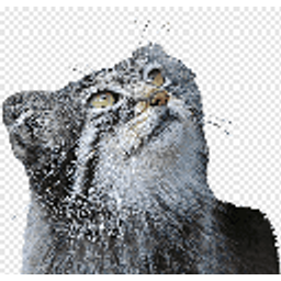 Pallascat emoji