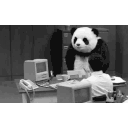 Pandafliptbl emoji
