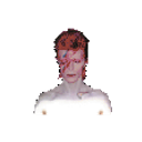 Bowie Zoom emoji