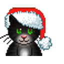 Xmas Cat Black emoji