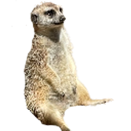 Meerkatsit emoji