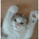 Catpawshi21 emoji