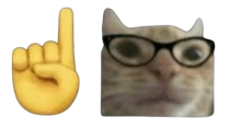 Sedicecatnerd emoji