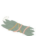 Sage Cleansing emoji
