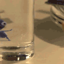 Penguin Jump Glass emoji