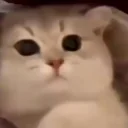 3 emoji