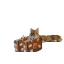 Headoutcat emoji