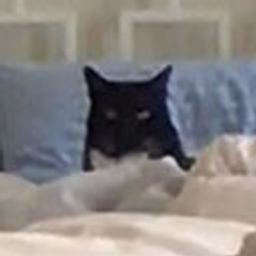 Steveiswatchingu emoji