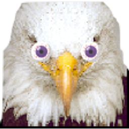 Eagle Derp emoji