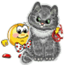 Hug Cat emoji