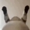 Wigglecat emoji