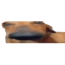 Doooooooooglookingsussyandcute emoji