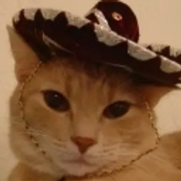 Cowboyyeehaaw emoji