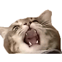 Jonas Yassing emoji