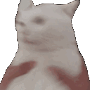 Cute Cat Confused emoji