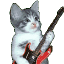 Guitar Kitty emoji