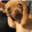 Excited Doggo emoji