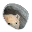 Bonjour Bear emoji