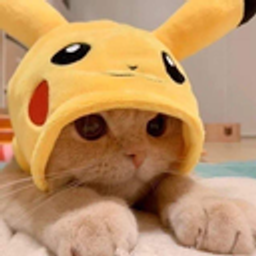 Cute Catpika emoji